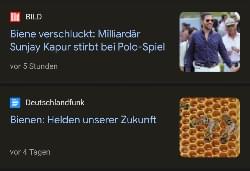 Dies ist ein Bild!