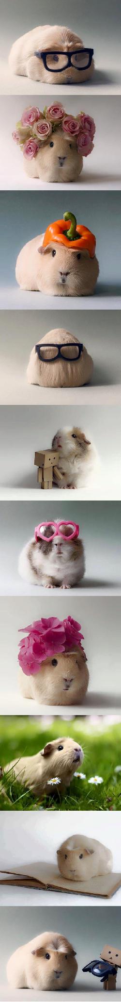 Dies ist ein Bild!